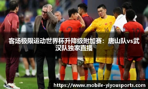 易游体育